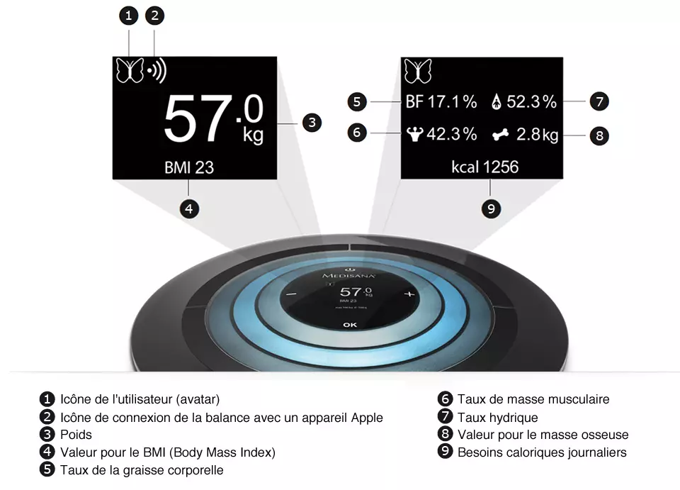 Affichage du poids, de l’indice de masse corporelle (IMC), du taux de masse graisseuse, de la quantité d’eau, du taux de muscle et de la masse osseuse