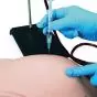 Bras pour injection et IV multi-veines, peau claire LF01271 Nasco Life/form