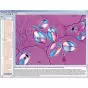 CD-ROM Anatomie des phanérogames 3B Scientific W13533