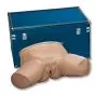 Life/form® Simulateur d’examen gynécologique normal 3B Scientific W44745N