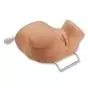 Simulateur d’examen vaginal 3B Scientific W44746