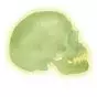 Crâne fluorescent en trois parties A20/N