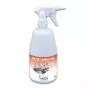 Détergent Désinfectant Anios Anioxy-Spray WS