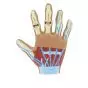 Modèle de main avec arthrite