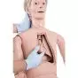 Mannequin de soins infirmiers avec auscultation Nikki