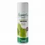 Spray désinfectant rapide Aniosept 41 Premium Menthe 400 mL Anios