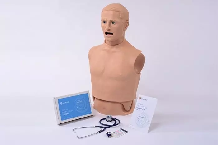 Torse d'auscultation avec cœur d’adulte et sons pulmonaires 1019857