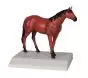 Modèle de cheval miniature VET2100 Erler Zimmer