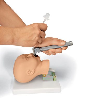 Achat Vente Tête d'intubation nouveau-né W19008 3B Scientific à 483,81 €