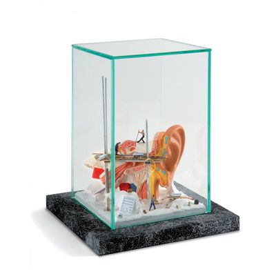 Petite vitrine  Méat acoustique  W23000