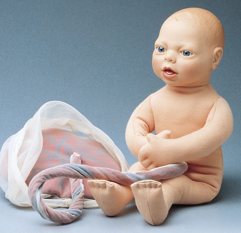 Vente En Ligne Poupee De Fœtus R Erler Zimmer A 119 00 Anatomie