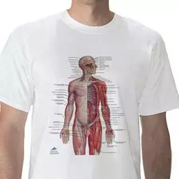 T-Shirt anatomique, Système Nerveux, L W41020