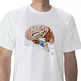 T-Shirt anatomique, Cerveau, XL W41039