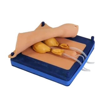 Simulateur de castration canine Erler Zimmer