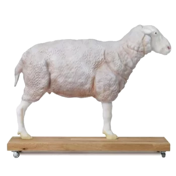 Modèle de mouton 2/3 grandeur nature Erler Zimmer
