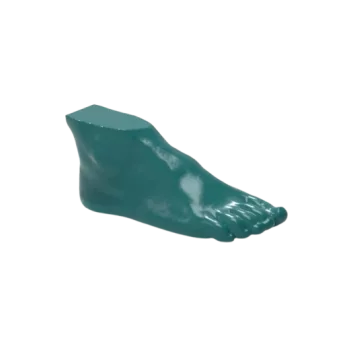 Fantôme de pied pour tomodensitométrie radiographie et radiothérapie Erler Zimmer