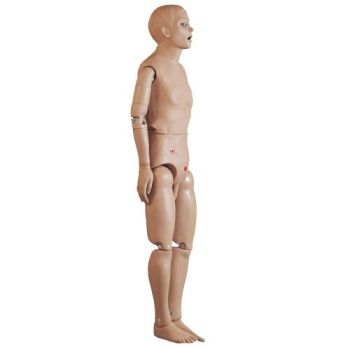 Mannequin pour soins hospitaliers de base masculin W45070
