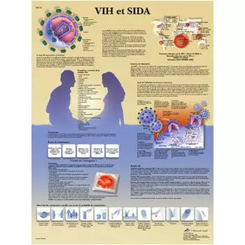 Planche anatomique VIH et SIDA VR2725UU