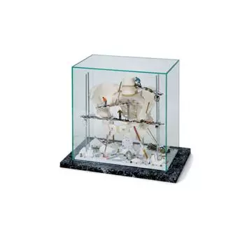 Vitrine " Bassin " W23013