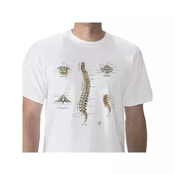 T-Shirt anatomique, Colonne Vertébrale, XL W41031