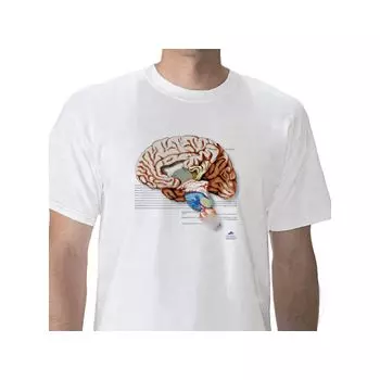 T-Shirt anatomique, Cerveau, XL W41039