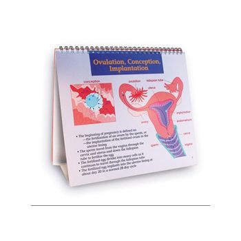 Ouvrage Comprendre la contraception 3B Scientific W43084