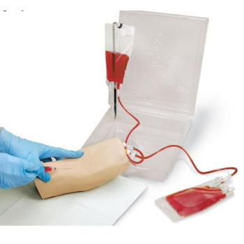 Bras IV Life/form® Peau claire 3B Scientific W44798W