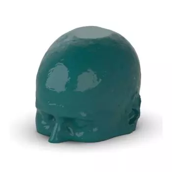 Fantôme tête et cou pour tomodensitométrie radiographie et radiothérapie Erler Zimmer