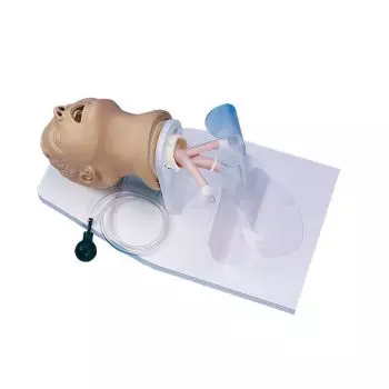 Modèle de tête d'intubation adulte R10014 Erler Zimmer