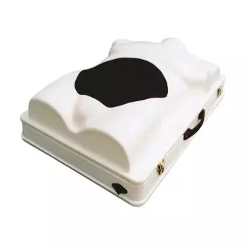 Torse d'Entraînement Chirurgical Laparoscopie Erler Zimmer R10084