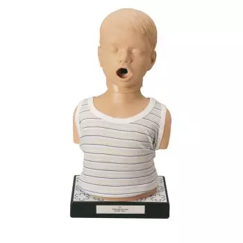 Simulateur d'auscultation cardiaque et pulmonaire enfant R11000 Erler Zimmer