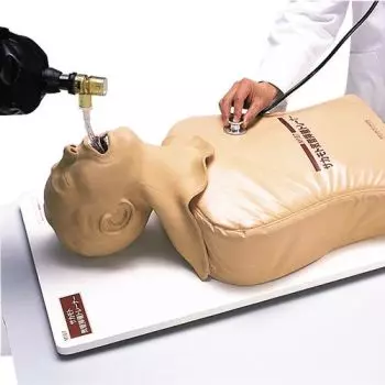Simulateur d'intubation endotrachéale W30508