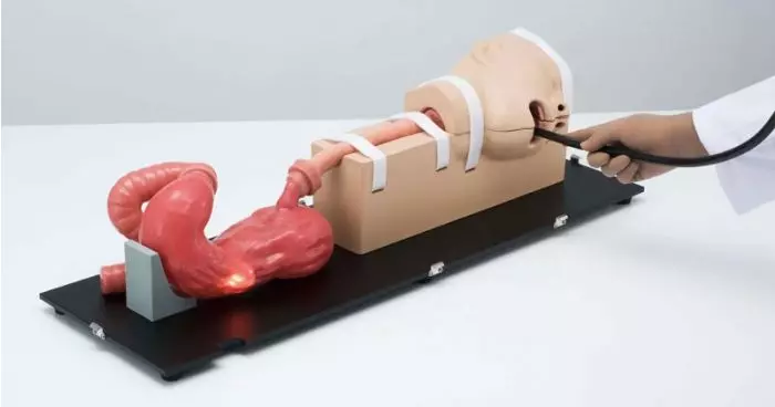 Simulateur d'œso-gastro-duodénoscopie Erler Zimmer LM103