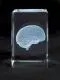 MEDart™  – des objets précieux en verre, Cerveau MAC15G