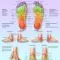Planche anatomique Massage des zones réflexes des pieds VR2810L