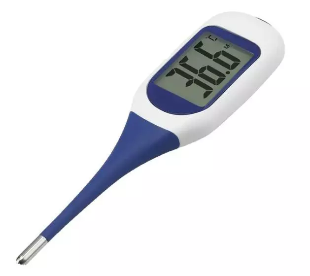 Thermomètre flexible grand écran parlant