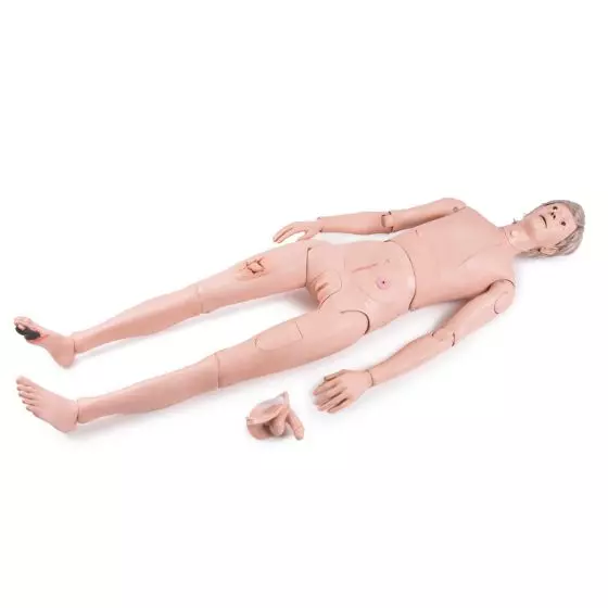 Mannequin de soins 3B Scientific® II P11/1