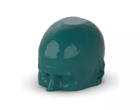 Fantôme tête et cou pour tomodensitométrie radiographie et radiothérapie Erler Zimmer