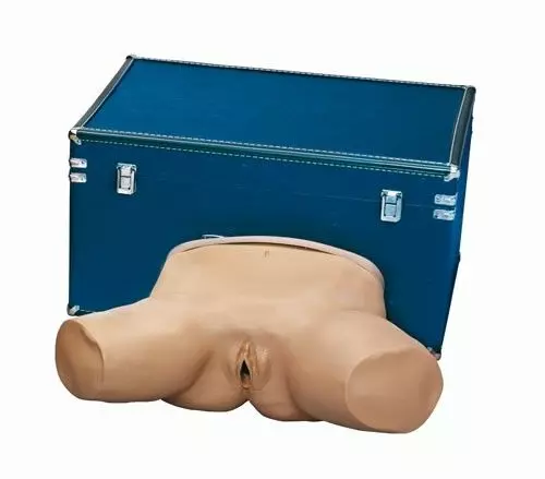 Simulateur d'Examen du Pelvien Anormal Erler Zimmer R10930/2